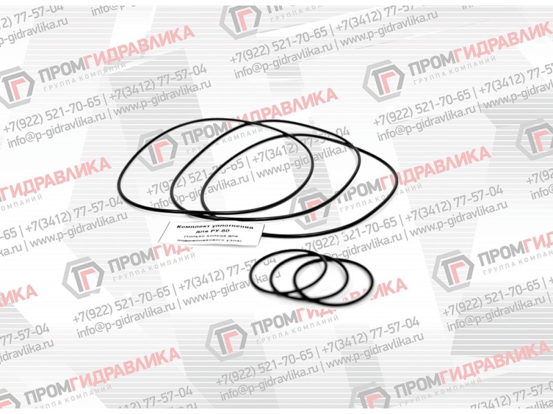 Комплект уплотнений ротатора FR21В (фланец)